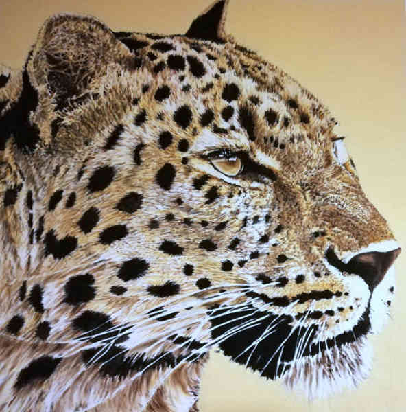Dipinto leopardo olio su tela 100 cm x 100 cm