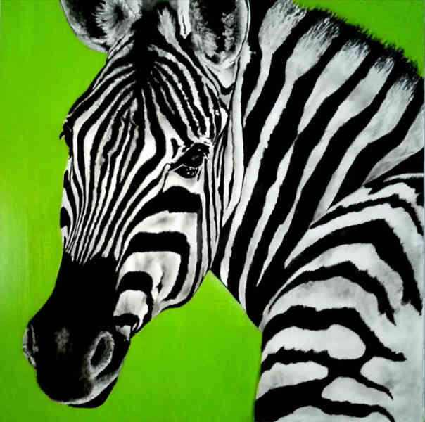 quadro zebra dipinto a mano a olio su tela 100 x 100