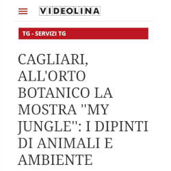videolina